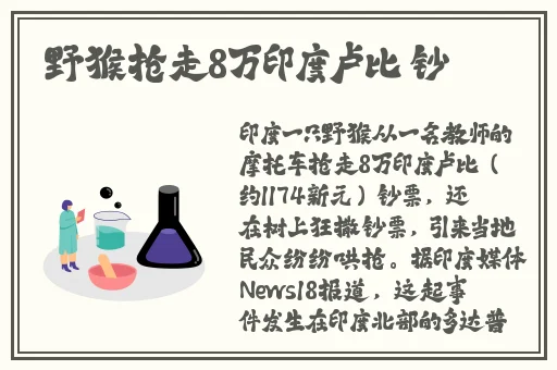 国产精品无码一区二区三区在